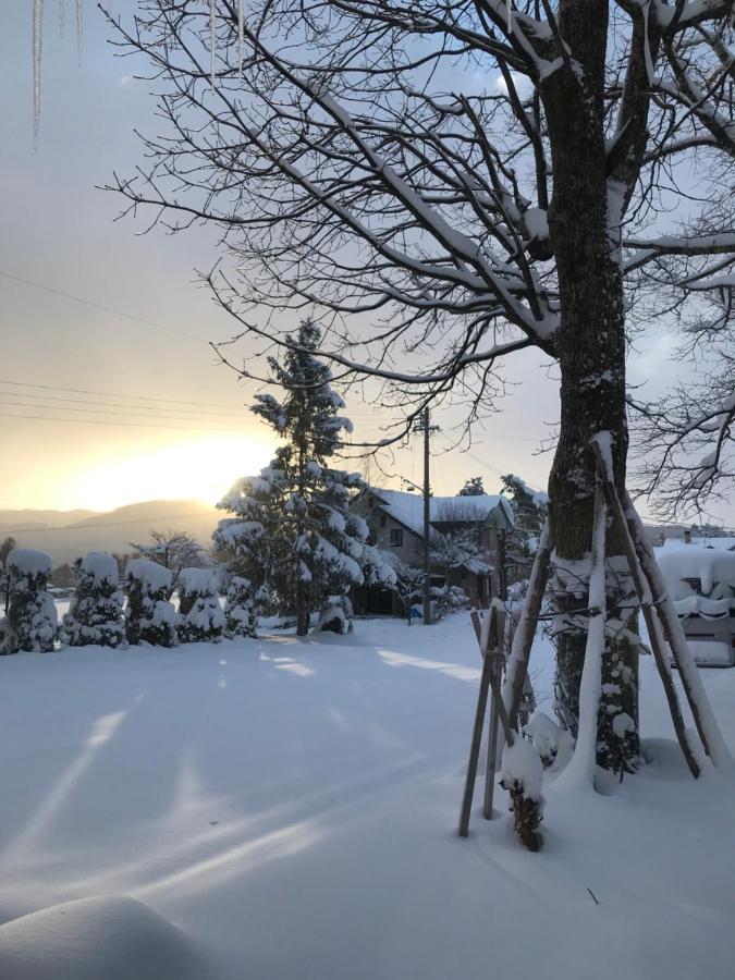 Hotel El Mayo Hakuba Exterior foto